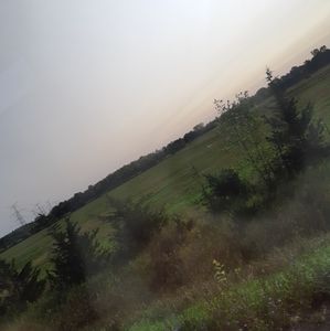 Meet your Posher, Ainsley